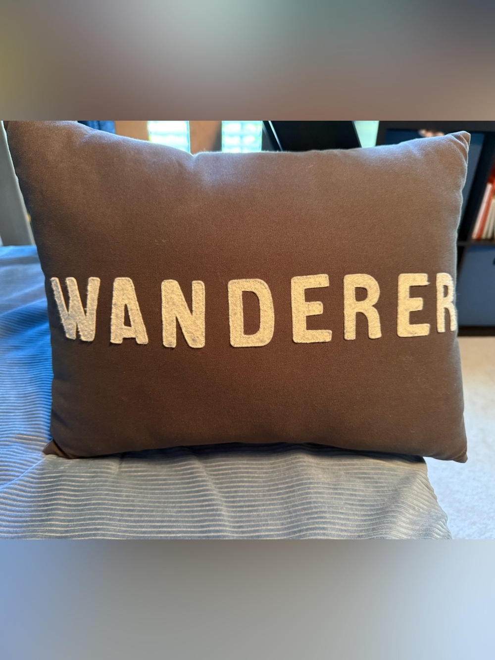 Crate&Barrel 'WANDERER' Pillow